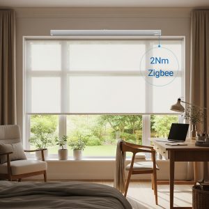 Motor Zigbee 2 Nm